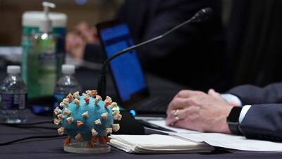 Джо Байден - Власти США разработают план на случай распространения штамма «Омикрон» - iz.ru - США - Израиль