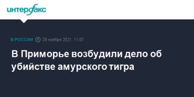 В Приморье возбудили дело об убийстве амурского тигра - interfax.ru - Москва - Россия - Приморье край