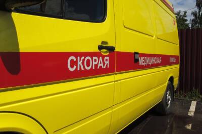 В России выявили 33 548 новых случаев коронавируса - mk.ru - Москва - Россия - Санкт-Петербург - Московская обл.