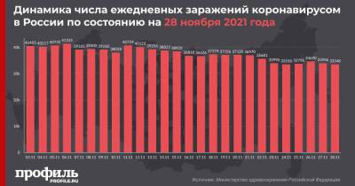 В России выявили 33548 новых случаев COVID-19 - profile.ru - Москва - Россия - Санкт-Петербург - Московская обл.