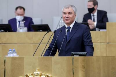 Вячеслав Володин - Володин рассказал о вступающих в силу в декабре законах - lenta.ru