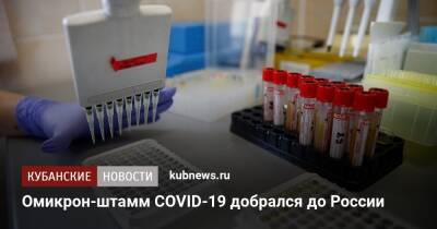 Владимир Круглый - Омикрон-штамм COVID-19 добрался до России - kubnews.ru - Россия - Египет - Юар