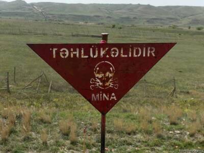 Азербайджанские военнослужащие подорвались на мине в Физулинском районе - trend.az - Азербайджан - район Физулинский