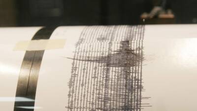 Землетрясение магнитудой 7,5 произошло в Перу - russian.rt.com - США - Фиджи