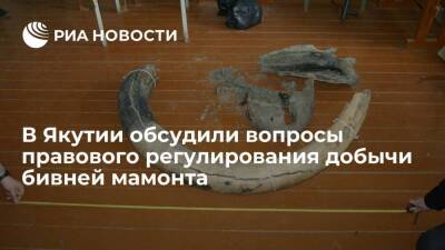 В Якутии обсудили вопросы правового регулирования добычи бивней мамонта - smartmoney.one - Россия - респ. Саха - Якутск