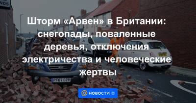 Шторм «Арвен» в Британии: снегопады, поваленные деревья, отключения электричества и человеческие жертвы - news.mail.ru - Англия - Шотландия