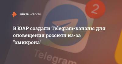 В ЮАР создали Telegram-каналы для оповещения россиян из-за "омикрона" - ren.tv - Россия - Юар - Кейптаун