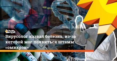 Петр Чумаков - Вирусолог назвал болезнь, из-за которой мог появиться штамм «омикрон» - ridus.ru - Россия - Индия - Юар