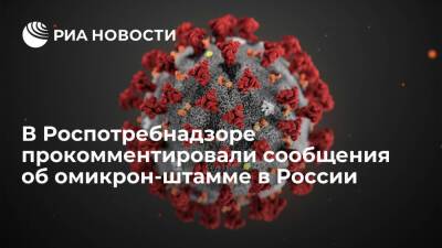 Владимир Круглый - Камиль Хафизов - Эксперт Роспотребнадзора Хафизов: в России нет омикрон-штамма коронавируса - ria.ru - Москва - Россия - Египет - Юар - Ботсвана