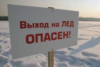 Ульяновские спасатели вытащили троих детей со льда на Волге - ulpravda.ru - Россия - Ульяновск - Ульяновская