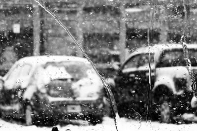 Евгений Тишковец - В последний день осени в Москве ожидается большое количество осадков - aif.ru - Москва - Россия