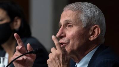 Энтони Фаучи - США готовятся к появлению штамма «омикрон» в стране - golos-ameriki.ru - США - Юар