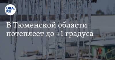 В Тюменской области потеплеет до +1 градуса - ura.news - Тюменская обл.