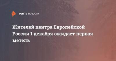 Роман Вильфанд - Жителей центра Европейской России 1 декабря ожидает первая метель - ren.tv - Россия