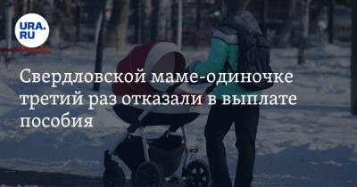 Свердловской маме-одиночке третий раз отказали в выплате пособия - ura.news - Россия - Свердловская обл. - Заречный