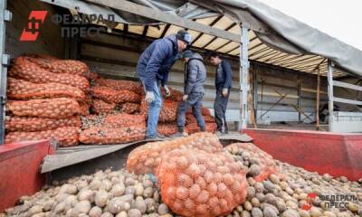 Россиянам раскрыли опасность прошлогоднего картофеля - fedpress.ru - Москва