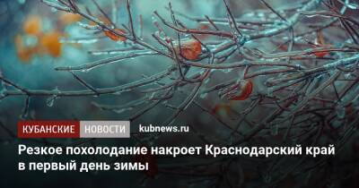 Роман Вильфанд - Резкое похолодание накроет Краснодарский край в первый день зимы - kubnews.ru - Россия - Анапа - Краснодарский край - Геленджик