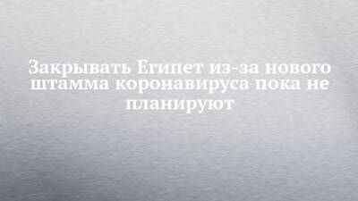 Майя Ломидзе - Закрывать Египет из-за нового штамма коронавируса пока не планируют - chelny-izvest.ru - Россия - Египет