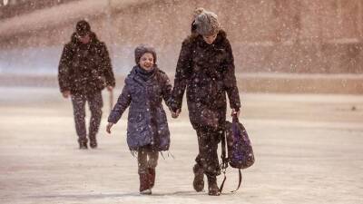 Анатолий Цыганков - Метеоролог сообщил, стоит ли Центральной России ждать снег в Новый год - vm.ru - Россия