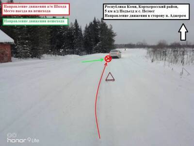 В Корткеросском районе водитель Skoda Rapid сбила 81-летнюю старушку - komiinform.ru - респ. Коми