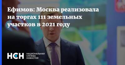 Владимир Ефимов - Ефимов: Москва реализовала на торгах 111 земельных участков в 2021 году - nsn.fm - Москва