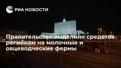 Правительство одобрило выделение средств 33 регионам на молочные и овцеводческие фермы - smartmoney.one - Россия