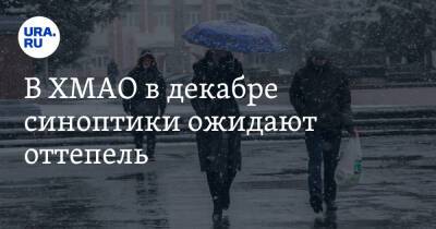 В ХМАО в декабре синоптики ожидают оттепель - ura.news - Ханты-Мансийск - Сургут - Югра - Нижневартовск