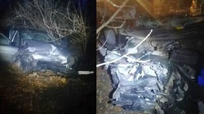 Два человека пострадали в лобовом ДТП на трассе под Воронежем - vestivrn.ru - Воронеж