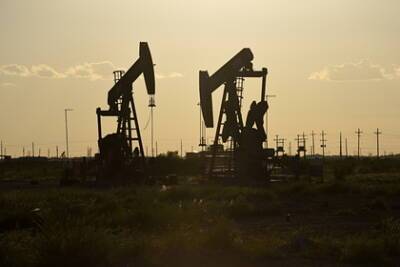 Александр Новак - Оценены запасы нефти и газа в России - lenta.ru - Россия - Китай