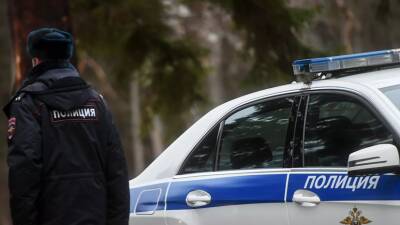 ГУ МВД: ряд граждан доставили в полицию после матча ЦСКА с «Зенитом» за правонарушения - russian.rt.com - Москва - Санкт-Петербург