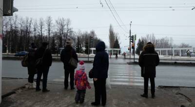 Николаев снова готовится менять указ о QR-кодах: главе указали на нарушение прав жителей - pg21.ru - респ. Чувашия