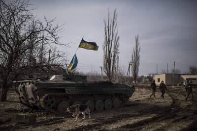 Юрий Бутусов - На Украине завели дело из-за стрельбы журналистом из гаубицы в Донбассе - tvc.ru - Украина - Киев