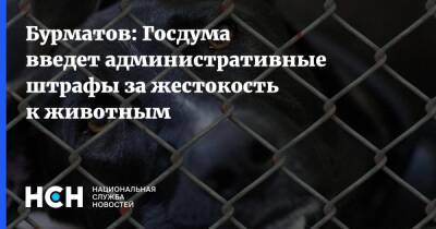 Владимир Бурматов - Бурматов: Госдума введет административные штрафы за жестокость к животным - nsn.fm