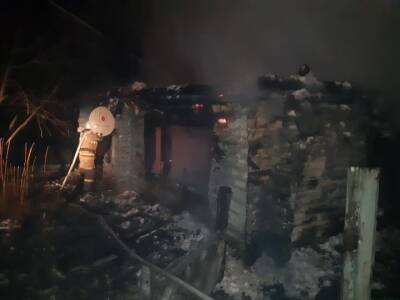 Жительница Башкирии погибла в ночном пожаре в собственном доме - ufacitynews.ru - Россия - Башкирия - район Баймакский