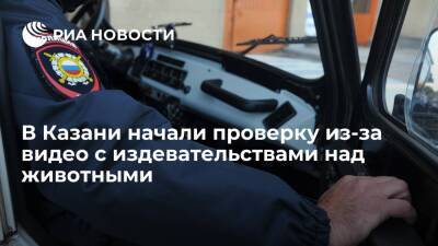 Полиция в Казани начала проверку из-за видео с издевательствами над животными - ria.ru - Россия - респ. Татарстан - Казань