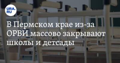 В Пермском крае из-за ОРВИ массово закрывают школы и детсады - ura.news - Пермский край
