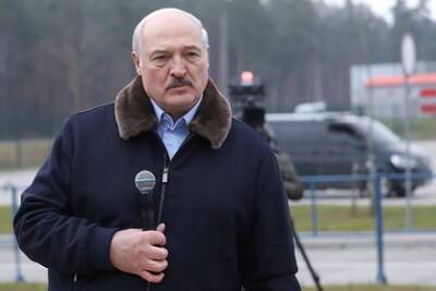 Александр Лукашенко - Лукашенко рассказал о «подкинутых» на белорусскую границу трупах - lenta.ru - Белоруссия