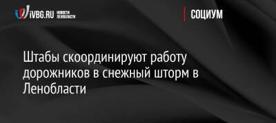 Штабы скоординируют работу дорожников в снежный шторм в Ленобласти - ivbg.ru - Украина - Ленинградская обл.