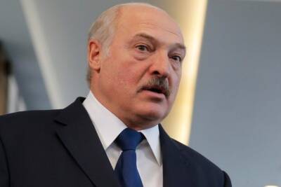 Александр Лукашенко - Лукашенко обвинил литовских пограничников в убийстве мигрантов - mk.ru - Белоруссия