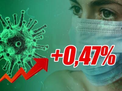 Динамика коронавируса на 29 ноября - bloknot.ru - Москва - Россия - США