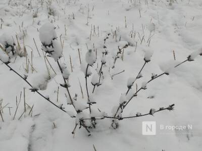 Дождь, снег и похолодание в четверг ожидаются в Нижегородской области на этой неделе - vgoroden.ru - Нижегородская обл.