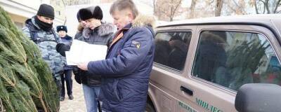В Башкирии 29 ноября стартует операция «Ель-2021» - runews24.ru - Башкирия
