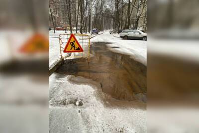 «Ждем, когда провалится асфальт»: на Бестужевской улице третий день из-под земли течет вода - spb.mk.ru - Санкт-Петербург - район Калининский