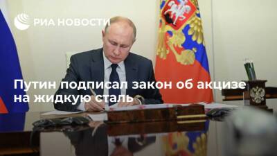 Владимир Путин - Президент Путин подписал закон, устанавливающий с 2022 года акциз на жидкую сталь - smartmoney.one - Россия - округ Южный