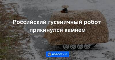 Российский гусеничный робот прикинулся камнем - news.mail.ru - Воронеж