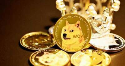 Биржа Binance возобновляет вывод Dogecoin - cryptowiki.ru