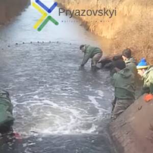 В Утлюкском лимане провели спецоперацию по спасению рыбы - reporter-ua.com
