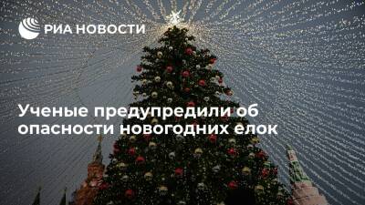 ВНИИ ГОЧС: новогодние елки могут падать на людей из-за ветра, а декорации — загораться - ria.ru - Москва