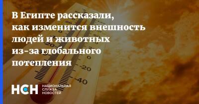 В Египте рассказали, как изменится внешность людей и животных из-за глобального потепления - nsn.fm - Египет