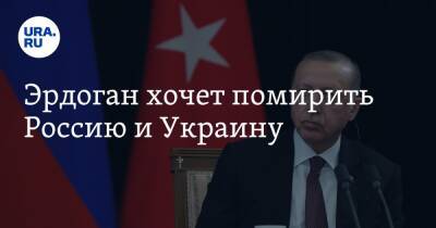 Владимир Путин - Дмитрий Песков - Тайип Эрдоган - Эрдоган хочет помирить Россию и Украину - ura.news - Москва - Россия - Украина - Киев - Турция